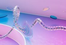 network compliance contact numbers