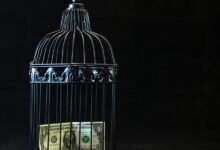 telecom security risk contacts